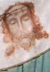 Shroud.TC.03.08.jpg (8387 bytes)