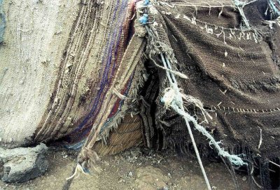 Shelter.jpg (49257 bytes)
