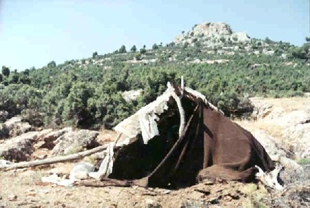 nomad.jpg (42480 bytes)